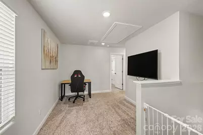 374 Hyssop Court, Fort Mill, SC 29715 - Photo 12