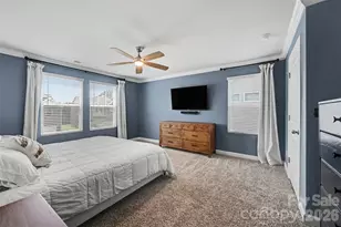374 Hyssop Ct, Fort Mill, SC 29715 - Photo 10