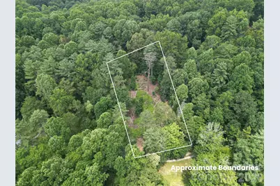 319 Valley Lane, Pisgah Forest, NC 28768 - Photo 10