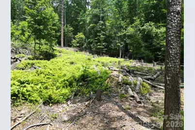 319 Valley Lane, Pisgah Forest, NC 28768 - Photo 2