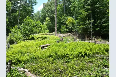 319 Valley Lane, Pisgah Forest, NC 28768 - Photo 6