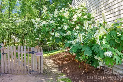 12036 Humboldt Drive, Charlotte, NC 28277 - Photo 26