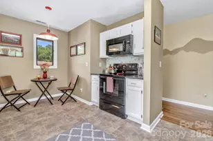 117 Pebble Creek Dr, Asheville, NC 28803 - Photo 16