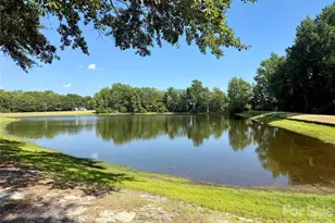 5453 White Plains Church Rd, Pageland, SC 29728 - Photo 6