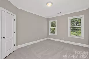 406 Belo Ct, Fort Mill, SC 29715 - Photo 36