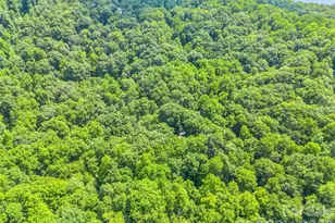 20 Kimberly Rd, Black Mountain, NC 28711 - Photo 44