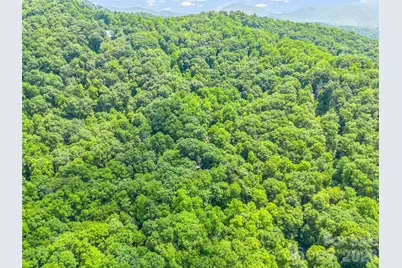 20 Kimberly Road, Black Mountain, NC 28711 - Photo 40