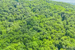 20 Kimberly Rd, Black Mountain, NC 28711 - Photo 40