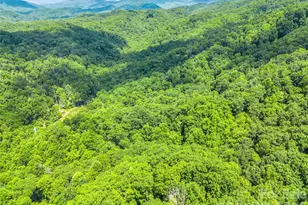 20 Kimberly Rd, Black Mountain, NC 28711 - Photo 42