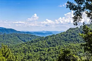 136 Merrills Ridge Rd, Asheville, NC 28803 - Photo 32