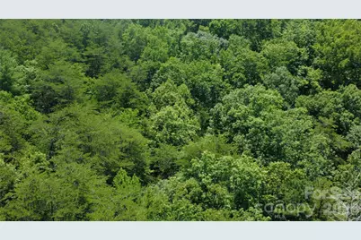4691 Snowhill Church Road, Morganton, NC 28655 - Photo 8