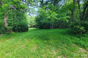 886 Hanging Rock Rd, Spruce Pine, NC 28777 - Photo 40