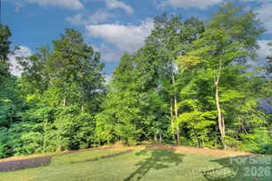 6672 Maple Spring Ct, Denver, NC 28037 - Photo 34
