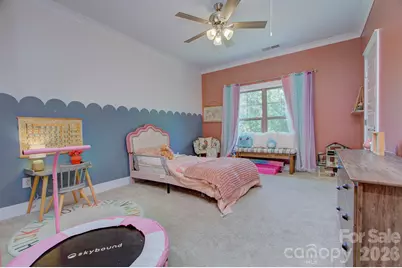6672 Maple Spring Court, Denver, NC 28037 - Photo 28