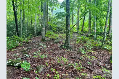 1230 Arborcrest Way, Swannanoa, NC 28778 - Photo 6