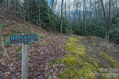 1279 Arborcrest Way #38, Swannanoa, NC 28778 - Photo 40