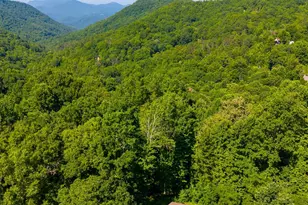 2916 Blanton Branch Rd, Sylva, NC 28779 - Photo 46