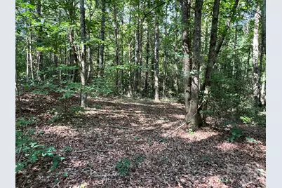 49 Trillium Trail, Nebo, NC 28761 - Photo 4
