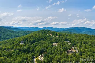 91 Watershed Way, Horse Shoe, NC 28742 - Photo 46