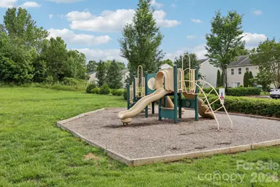 5226 Coffeeberry Lane, Charlotte, NC 28227 - Photo 26