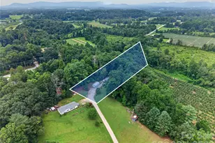 146 Banks View Ln, Hendersonville, NC 28792 - Photo 44