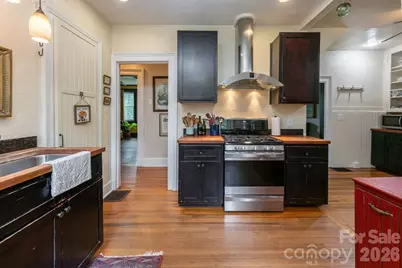 25 Mineral Springs Road, Asheville, NC 28805 - Photo 8