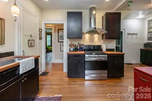 25 Mineral Springs Rd, Asheville, NC 28805 - Photo 8