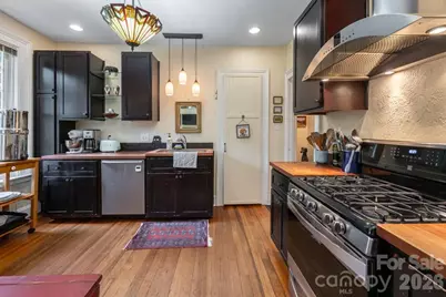 25 Mineral Springs Road, Asheville, NC 28805 - Photo 10