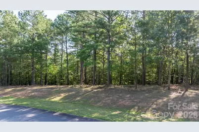 312 Twin Cove Drive #137, Connelly Springs, NC 28612 - Photo 4