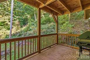 1482 Howard Moore Rd, Hot Springs, NC 28743 - Photo 34