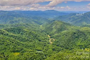 1482 Howard Moore Rd, Hot Springs, NC 28743 - Photo 46