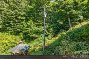 1482 Howard Moore Rd, Hot Springs, NC 28743 - Photo 44