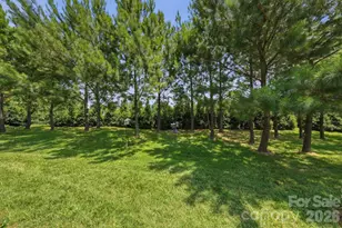 3025 Callaway Court, Cramerton, NC 28032 - Photo 36