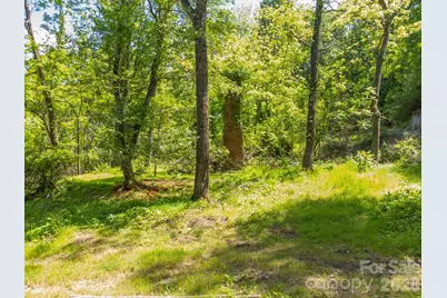 27 Shep Drive, Mills River, NC 29759 - Photo 4