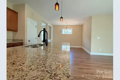 6281 Raven Rock Drive, Denver, NC 28037 - Photo 12