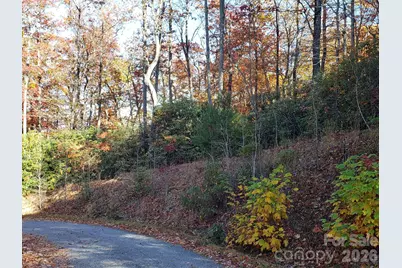 Tbd Top Oaks Lane #Lot 58, Pisgah Forest, NC 28768 - Photo 4
