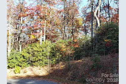 Tbd Top Oaks Lane #Lot 58, Pisgah Forest, NC 28768 - Photo 6