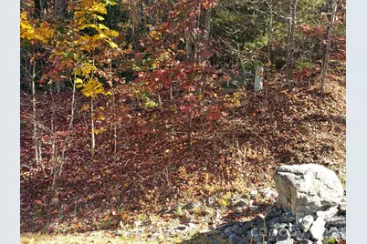Tbd Top Oaks Lane #Lot 58, Pisgah Forest, NC 28768 - Photo 10