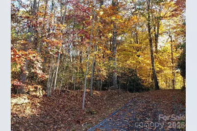 Tbd Top Oaks Lane #Lot 58, Pisgah Forest, NC 28768 - Photo 12