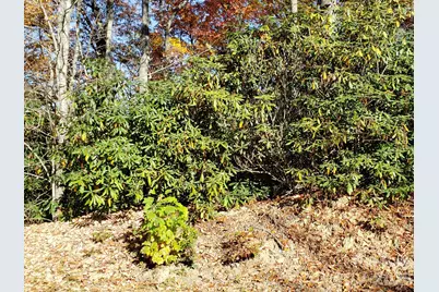 Tbd Top Oaks Lane #Lot 58, Pisgah Forest, NC 28768 - Photo 14