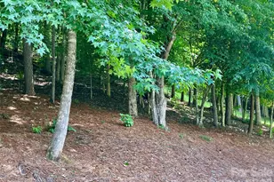 243 River Sound Village, Hayesville, NC 28904 - Photo 12