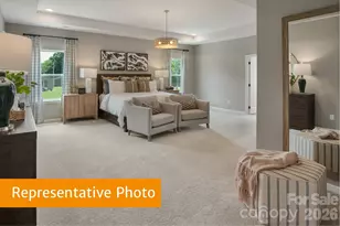 4203 Ruth Crk Ct, Charlotte, NC 28216 - Photo 10