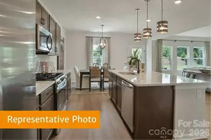 4203 Ruth Crk Ct, Charlotte, NC 28216 - Photo 6