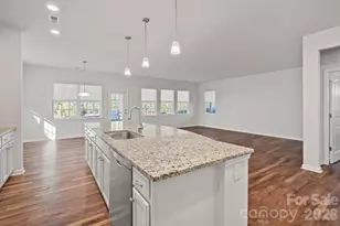 116 Van Gogh Trail, Mount Holly, NC 28120 - Photo 10