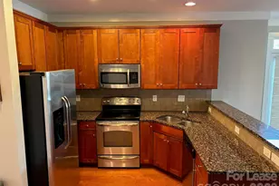 832 Cotton Gin Alley, Davidson, NC 28036 - Photo 6