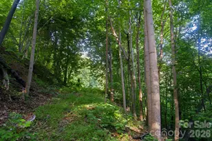 00 Ragans Pointe Pointe, Columbus, NC 28722 - Photo 1