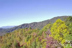 452 Wilderness Dr, Marion, NC 28752 - Photo 12