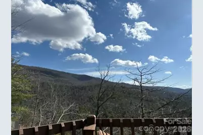 452 Wilderness Drive, Marion, NC 28752 - Photo 2