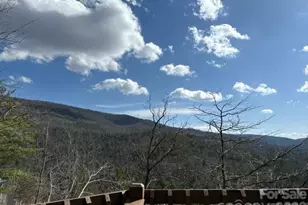 452 Wilderness Dr, Marion, NC 28752 - Photo 2