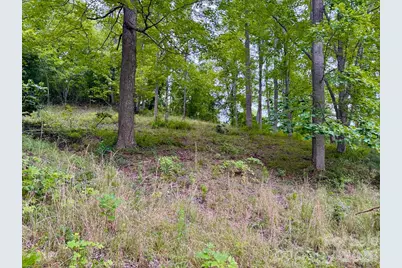 120 Ben Lippen School Road, Asheville, NC 28806 - Photo 8